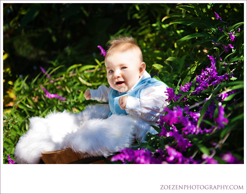 Raleigh-cary-apex-family-photographer0108