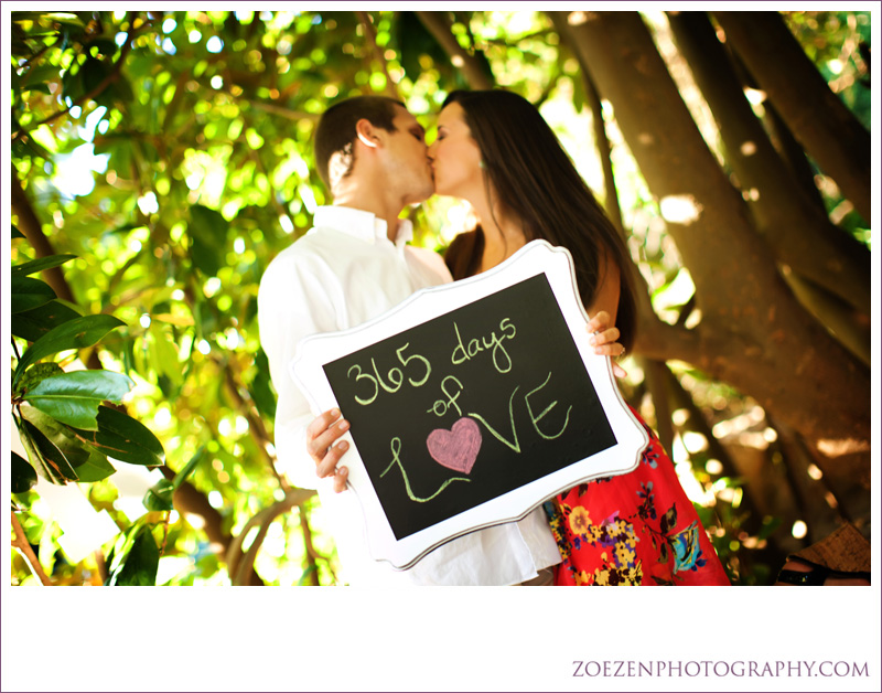 Raleigh-cary-chapel-hill-apex-engagement-photographer0049