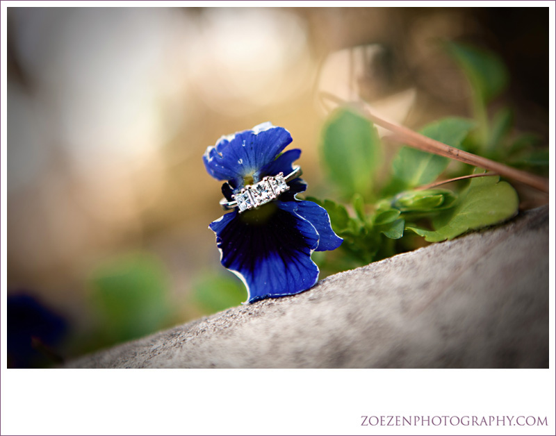 Raleigh-NC-Engagement-Photography-A-&-L0122