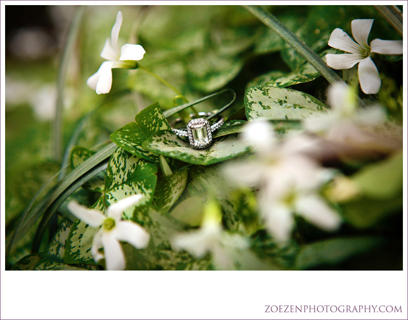 Raleigh-NC-Engagement-Photography-Adam-&-Amy0135