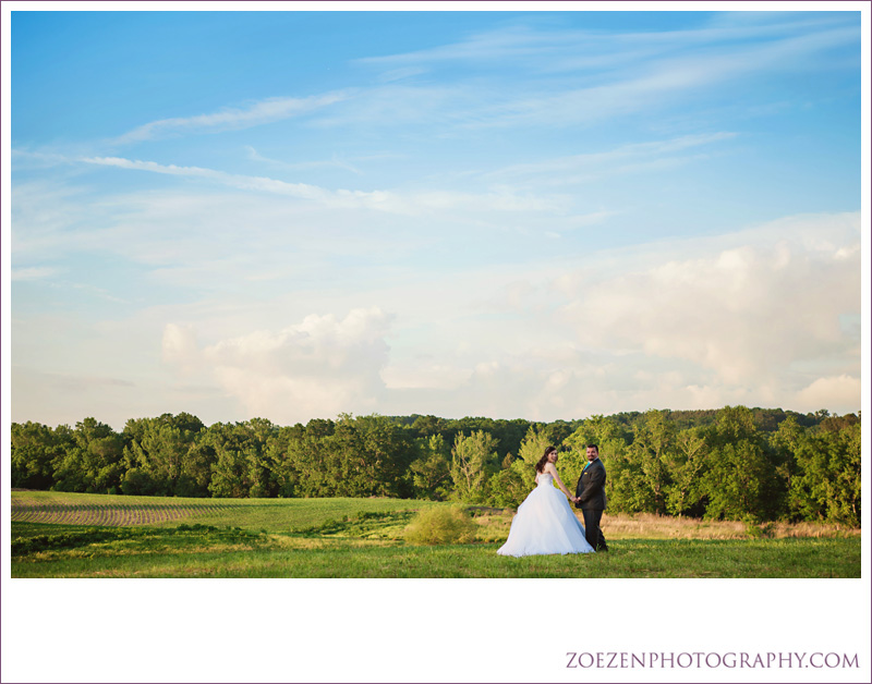 Raleigh-cary-chapel-hill-apex-nc-wedding-photography0117