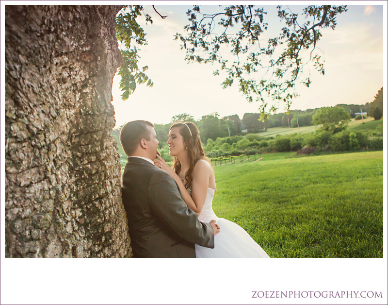 Raleigh-cary-chapel-hill-apex-nc-wedding-photography0131