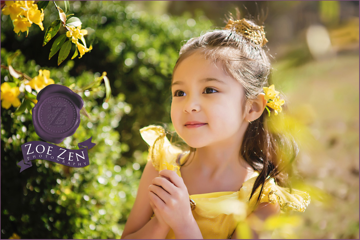 Holly_Springs_Themed_Photography_Beauty_and_the_Beast_Belle_03