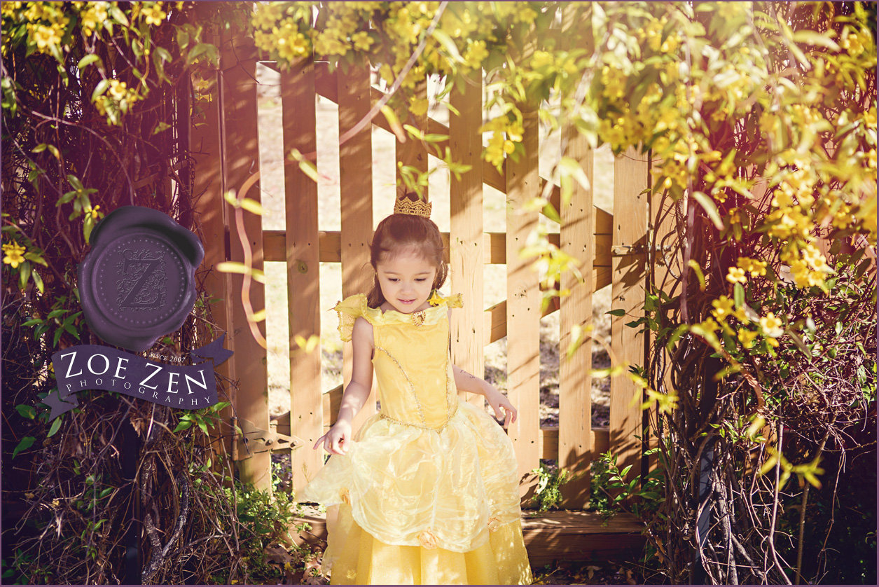 Holly_Springs_Themed_Photography_Beauty_and_the_Beast_Belle_05
