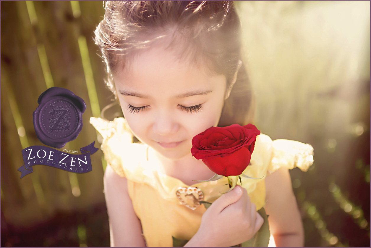 Holly_Springs_Themed_Photography_Beauty_and_the_Beast_Belle_Red_Rose_05