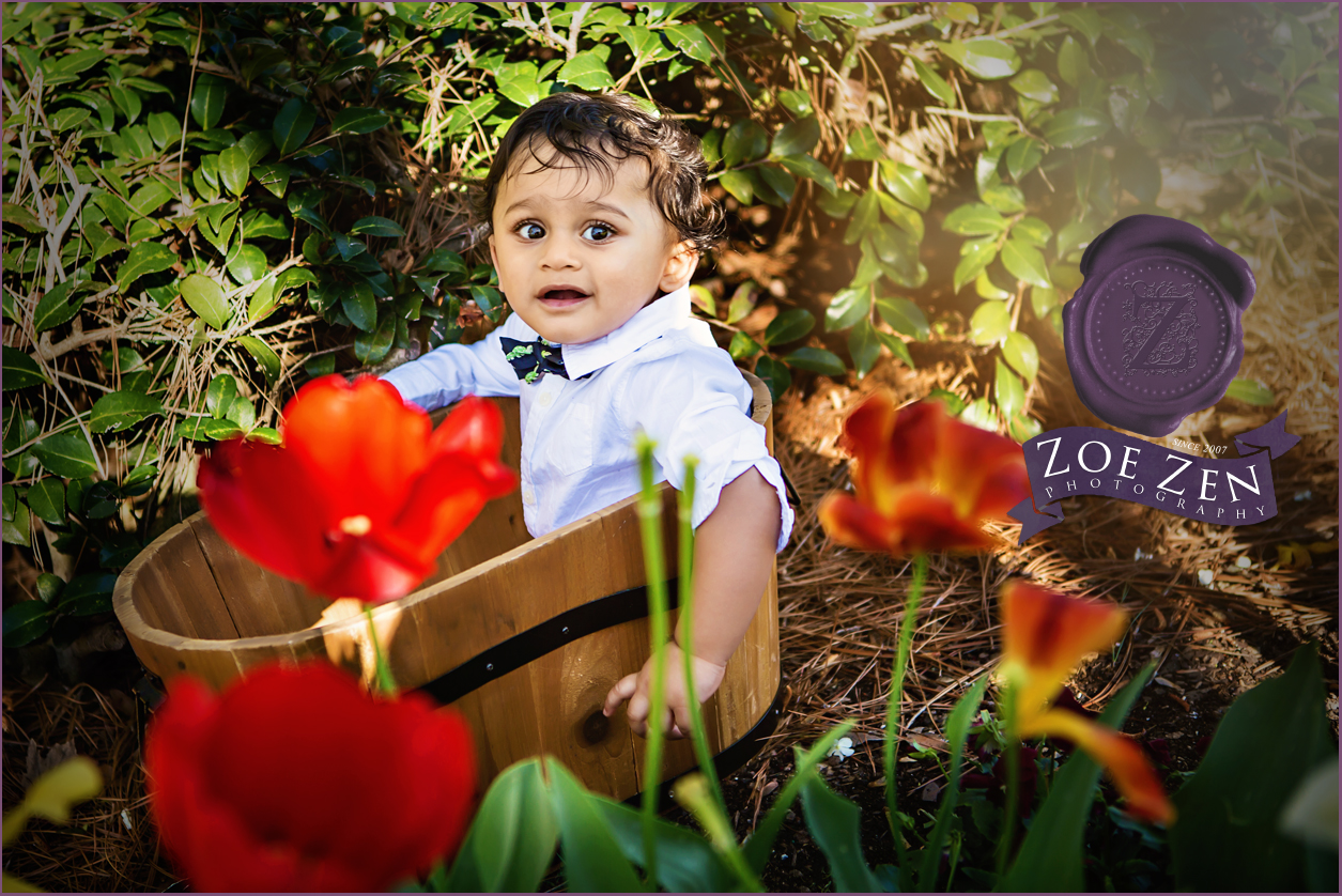 Raleigh_Newborn_Photography_Baby_A_Spring_Session_01