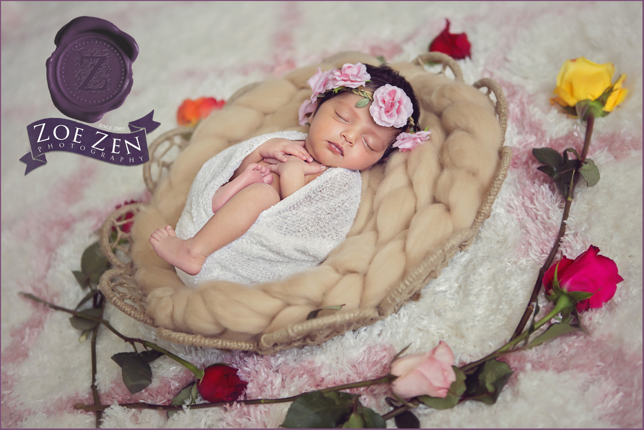 Holly_Springs_Newborn_Photography_Baby_Girl_Spring_Roses_Session_01