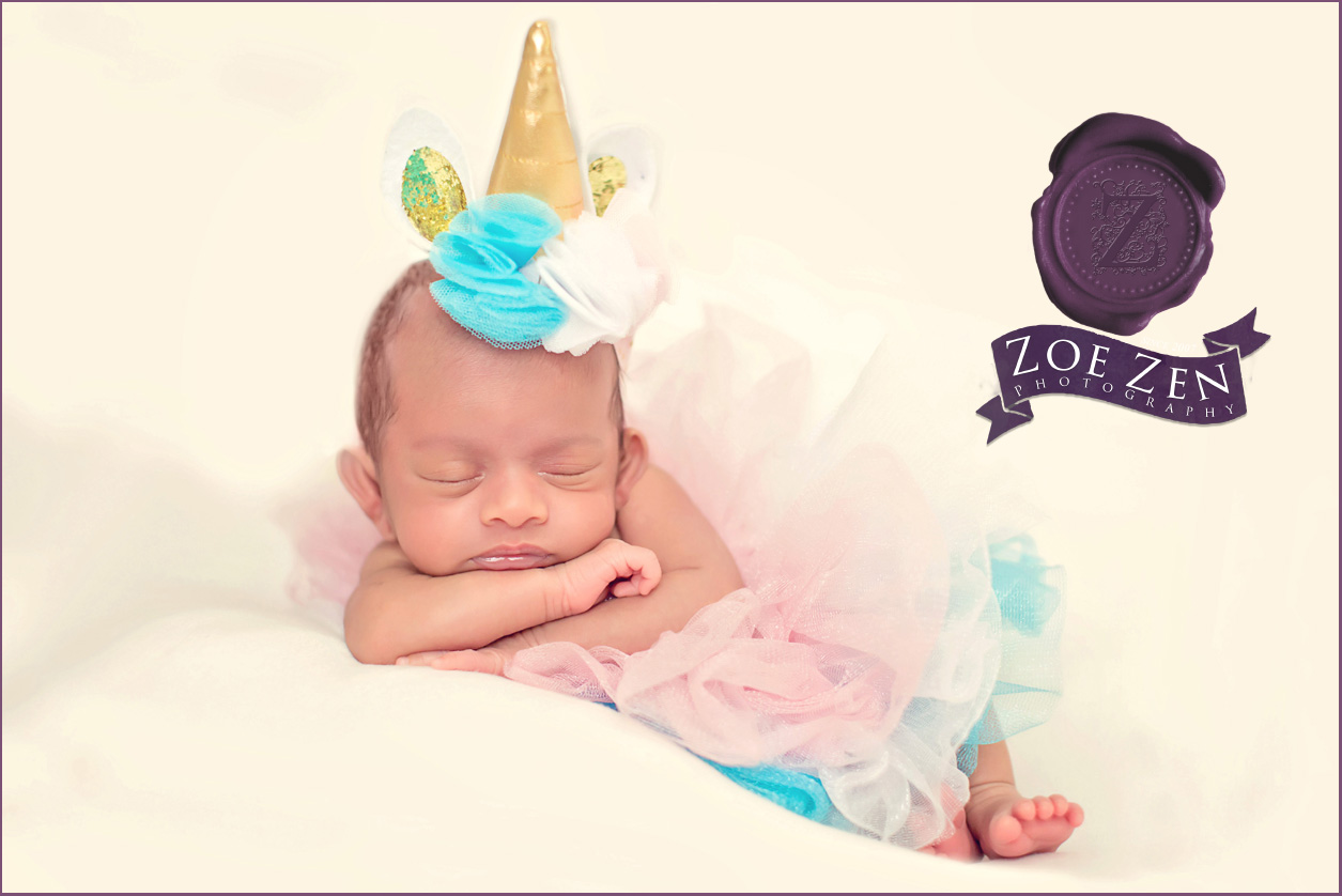 Holly_Springs_Newborn_Photography_Baby_Girl_Unicorn_Princess_Session_01