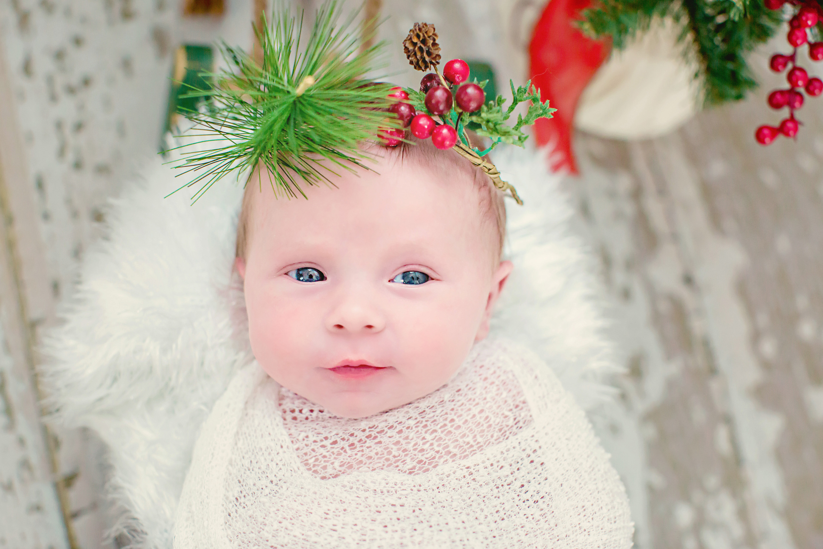 Baby First Year Raleigh NC Maternity and Newborn Photographer