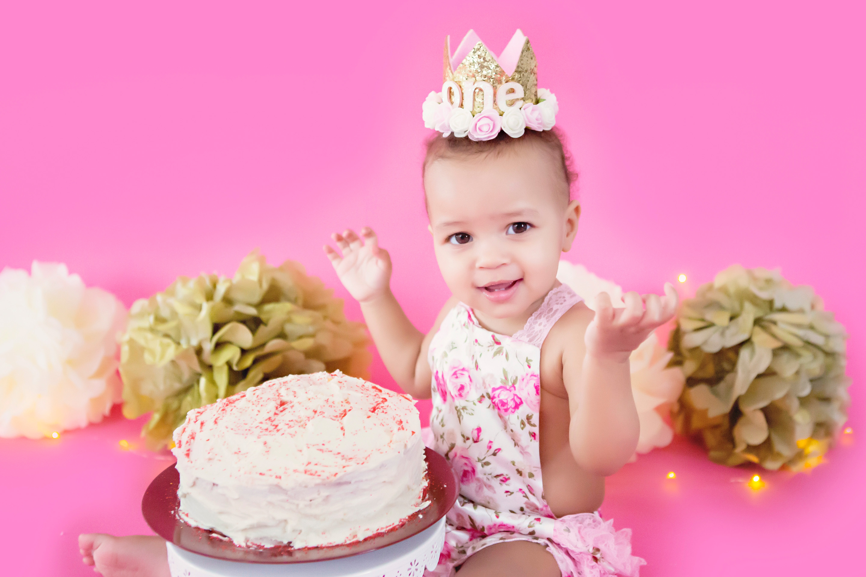 Baby First Year Raleigh NC Maternity and Newborn Photographer